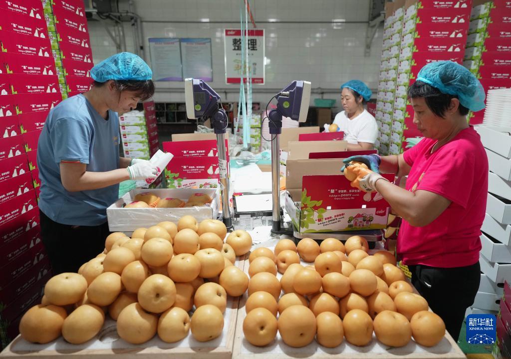 澳门银可老品牌